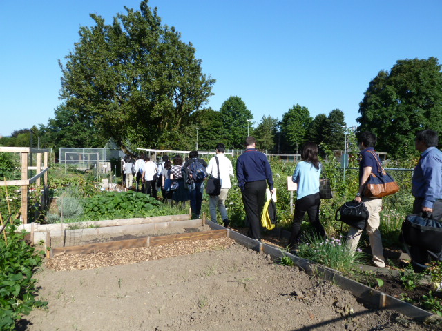 A community garden in Portland.